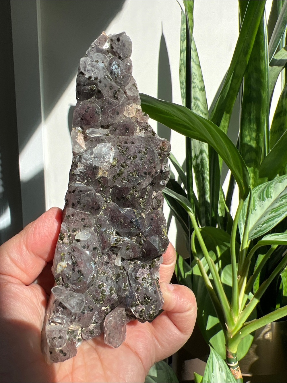 Rare* Super Seven with epidote Cluster
Crystal Cluster Decorative Home Art